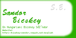 sandor bicskey business card